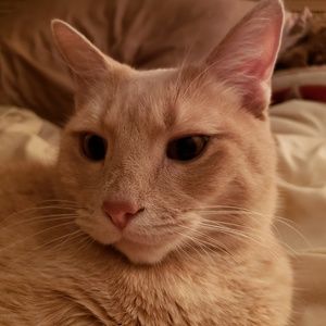 Meet your Posher, Jayme